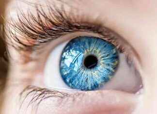 2024’te En İyi Miyopi Hikayeleri: İlerlemeyi Yavaşlatma ve Başlangıcı Tahmin Etmek İçin Son Araştırmalar 2024te-en-iyi-miyopi-hikayeleri-ilerlemeyi-yavalatma-ve-balangc-tahmin-etmek-iin-son-aratrmalar