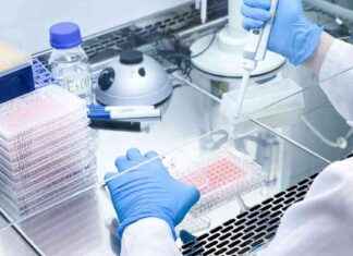 2024’te Örtüşmüş: Healio, Ortopedik Biyoloji Yılına Geri Dönüyor 2024te-rtm-healio-ortopedik-biyoloji-ylna-geri-dnyor