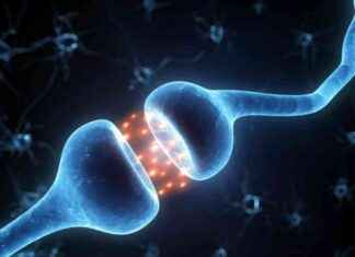 Dünya Hormon Günü 2025: Avrupa Endokrinoloji Derneği İlk Kez Duyurdu dnya-hormon-gn-2025-avrupa-endokrinoloji-dernei-ilk-kez-duyurdu