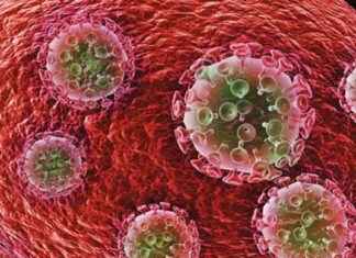 HIV Aşısı Yakınlarda Değil, Ancak Araştırmalar Diğer Araçların ve Çabaların Bol Olduğunu Gösteriyor hv-as-yaknlarda-deil-ancak-aratrmalar-dier-aralarn-ve-abalarn-bol-olduunu-gsteriyor