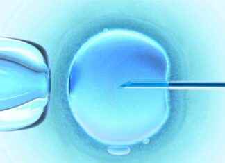 Klinefelter Sendromu ve Erkek Kısırlığı Hakkında Yeni Bakış Açıları klinefelter-sendromu-ve-erkek-ksrl-hakknda-yeni-bak-alar