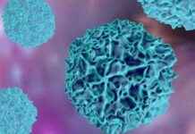 Lüksemburg, Dünya Sağlık Örgütü ile Küresel Sağlıkı Desteklemek İçin Tarihi Ortaklık Anlaşması İmzalıyor lksemburg-dnya-salk-rgt-ile-kresel-salk-desteklemek-iin-tarihi-ortaklk-anlamas-imzalyor