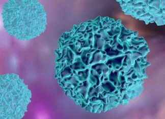 Lüksemburg, Dünya Sağlık Örgütü ile Küresel Sağlıkı Desteklemek İçin Tarihi Ortaklık Anlaşması İmzalıyor lksemburg-dnya-salk-rgt-ile-kresel-salk-desteklemek-iin-tarihi-ortaklk-anlamas-imzalyor