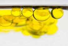 BEND Lipidler mRNA Teslimatını ve Gen Düzenlemeyi Devrim Yapıyor bend-lipidler-mrna-teslimatn-ve-gen-dzenlemeyi-devrim-yapyor