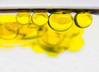 BEND Lipidler mRNA Teslimatını ve Gen Düzenlemeyi Devrim Yapıyor bend-lipidler-mrna-teslimatn-ve-gen-dzenlemeyi-devrim-yapyor