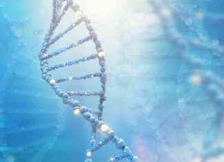 Bitki Kimyasalı Keşfedildi Biofilm Oluşumunu Önlemek için bitki-kimyasal-kefedildi-biofilm-oluumunu-nlemek-iin