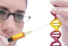 Bitki Mikrobiyomlarını Şekillendirmede Yaprak Yüzeylerindeki RNA’nın Rolü bitki-mikrobiyomlarn-ekillendirmede-yaprak-yzeylerindeki-rnann-rol