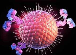 BIOHIT, Biomedal Gluten Immunogenic Peptide Test Avrupa Dağıtım Haklarını Güvence Altına Alıyor. boht-biomedal-gluten-mmunogenic-peptide-test-avrupa-datm-haklarn-gvence-altna-alyor