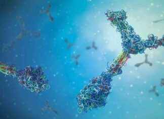 Gen İnaktivasyonunun İnsan Hastalıklarındaki Rolü Açığa Çıkarılıyor gen-inaktivasyonunun-insan-hastalklarndaki-rol-aa-karlyor