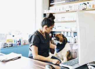 GoodRx ile Evcil Hayvanlar için İndirimler ve Fiyat Karşılaştırması goodrx-ile-evcil-hayvanlar-iin-indirimler-ve-fiyat-karlatrmas