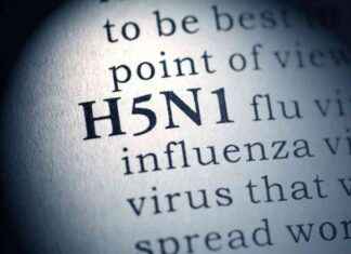 H5N1 Hastalık Şiddetini T Hücre Yanıtlarına Dayanarak Tahmin Etmek h5n1-hastalk-iddetini-t-hcre-yantlarna-dayanarak-tahmin-etmek