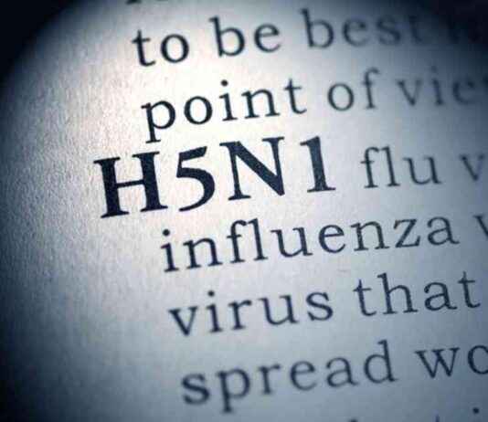 H5N1 Hastalık Şiddetini T Hücre Yanıtlarına Dayanarak Tahmin Etmek h5n1-hastalk-iddetini-t-hcre-yantlarna-dayanarak-tahmin-etmek