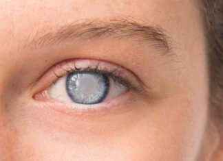 Hastalık Oluşturan Mutasyonların Moleküler Mekanizmalarının Çözülmesi hastalk-oluturan-mutasyonlarn-molekler-mekanizmalarnn-zlmesi