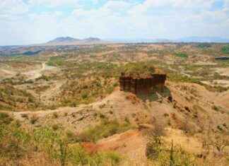 Homo erectus’un Çölde Hayatta Kalma Yeteneği Keşfedildi homo-erectusun-lde-hayatta-kalma-yetenei-kefedildi
