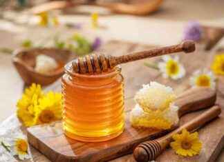 Manuka ve Ohia Lehua Balı Karşılaştırması: Antioksidan Farkları ve Sağlık Faydaları manuka-ve-ohia-lehua-bal-karlatrmas-antioksidan-farklar-ve-salk-faydalar