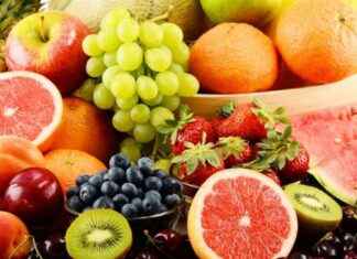 Meyve Sineği Genetiği ve Sivrisinek Hastalıklarına Karşı Mücadeleyi Değiştirebilir meyve-sinei-genetii-ve-sivrisinek-hastalklarna-kar-mcadeleyi-deitirebilir