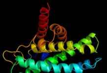 Otoimmün Hastalıklardaki Bağışıklık Saldırılarını Durdurmanın Hedefi Bulundu otoimmn-hastalklardaki-baklk-saldrlarn-durdurmann-hedefi-bulundu