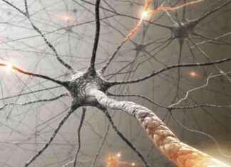 Parkinson Hastalığı ve İlgili Bozukluklarla Mücadele Ulusal Planı parkinson-hastal-ve-ilgili-bozukluklarla-mcadele-ulusal-plan