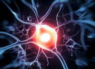 Periferik Sinir Kılıfı Tümörleri için Yeni Tedavi Yöntemi periferik-sinir-klf-tmrleri-iin-yeni-tedavi-yntemi