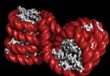 Rasizm ve Şiddetin Sağlığa Zarar Verme Yollarını Keşfedin: NPR ve KFF Sağlık Haberleri rasizm-ve-iddetin-sala-zarar-verme-yollarn-kefedin-npr-ve-kff-salk-haberleri