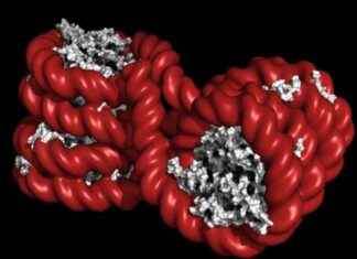 Rasizm ve Şiddetin Sağlığa Zarar Verme Yollarını Keşfedin: NPR ve KFF Sağlık Haberleri rasizm-ve-iddetin-sala-zarar-verme-yollarn-kefedin-npr-ve-kff-salk-haberleri