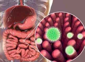 Rotavirüs Hastalığı Şiddetinde NSP4’ün Ana Rolü açığa çıkarılıyor rotavirs-hastal-iddetinde-nsp4n-ana-rol-aa-karlyor