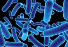 Sudan’da çöken sağlık sistemi için yapay zeka teşhisleri umut vaat ediyor sudanda-ken-salk-sistemi-iin-yapay-zeka-tehisleri-umut-vaat-ediyor