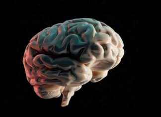 Yeni Kemik Durumu Biyokimyasal İndekslerinin Doğru Kullanımı İçin Yeni Kılavuzlar Yayınlandı yeni-kemik-durumu-biyokimyasal-indekslerinin-doru-kullanm-iin-yeni-klavuzlar-yaynland