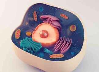 Yenilikçi Mühendislik Akıllı Hücreler İçin İnşaat Kiti yeniliki-mhendislik-akll-hcreler-iin-inaat-kiti