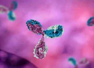 Alzheimer ve Parkinson Araştırmalarını Devrim Yaratan Yeni Yöntem alzheimer-ve-parkinson-aratrmalarn-devrim-yaratan-yeni-yntem