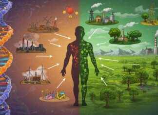 Çevrenin Yaşlanma Üzerindeki Etkisi Genlerden Daha Büyük evrenin-yalanma-zerindeki-etkisi-genlerden-daha-byk