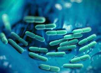 Harvard Pilgrim Sağlık Enstitüsü Sepsis Araştırma Merkezi Açıyor. harvard-pilgrim-salk-enstits-sepsis-aratrma-merkezi-ayor