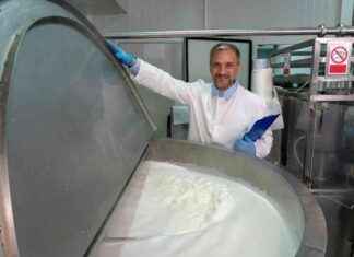 İnek sütünde bulunan influenza virüsleri pastörizasyon ile yok edilir, süt güvenliği güçlendirilir. inek-stnde-bulunan-influenza-virsleri-pastrizasyon-ile-yok-edilir-st-gvenlii-glendirilir