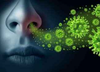 İnsan virüslerinin artan listesi: Sonraki salgına hazır mıyız? insan-virslerinin-artan-listesi-sonraki-salgna-hazr-myz