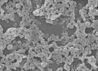 Mineral Nanopartiküllerle Koronavirüsleri Nötralize Etmek İçin Yeni Yöntem mineral-nanopartikllerle-koronavirsleri-ntralize-etmek-iin-yeni-yntem