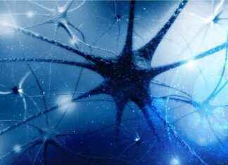 Nörofilament Işığı: Klinik Uygulamadan Ön Klinik İlaç Keşfine Önemli Biyobelirteç nrofilament-klinik-uygulamadan-n-klinik-ila-kefine-nemli-biyobelirte