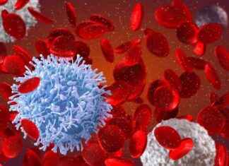 Virüs Enfeksiyonlarına Karşı Lenfoid Doku Koruma Mekanizması virs-enfeksiyonlarna-kar-lenfoid-doku-koruma-mekanizmas