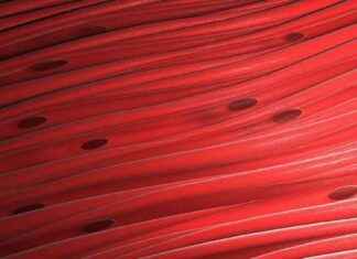 Yaşlanmada Kas Kaybının Nedeni Metabolik Başarısızlık olarak Belirlendi yalanmada-kas-kaybnn-nedeni-metabolik-baarszlk-olarak-belirlendi