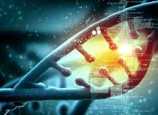 Yeni AI Modeli İnsan Hücre Türleri Arasında Gen İfadelerini Öngörüyor yeni-a-modeli-insan-hcre-trleri-arasnda-gen-ifadelerini-ngryor