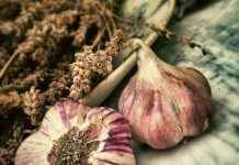 2023’ün En İyi Sebze Doğrayıcıları: Her Mutfak İçin En İyi Seçimler 2023’ün En İyi Sebze Doğrayıcıları: Her Mutfak İçin En İyi Seçimler