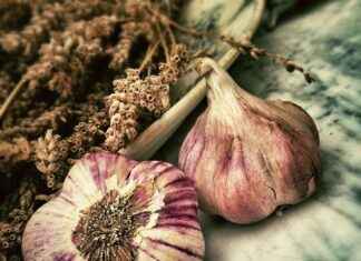 2023’ün En İyi Sebze Doğrayıcıları: Her Mutfak İçin En İyi Seçimler 2023’ün En İyi Sebze Doğrayıcıları: Her Mutfak İçin En İyi Seçimler