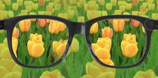 Renk Körlüğü: Nedenleri, Belirtileri ve Günlük Yaşama Etkileri renk körlüğü, renk körlüğü testi, renk körlüğü gözlüğü, renk körlüğü nedir, renk körlüğü lensi, renk körlüğü tedavisi, renk körlüğü çeşitleri