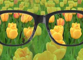 Renk Körlüğü: Nedenleri, Belirtileri ve Günlük Yaşama Etkileri renk körlüğü, renk körlüğü testi, renk körlüğü gözlüğü, renk körlüğü nedir, renk körlüğü lensi, renk körlüğü tedavisi, renk körlüğü çeşitleri