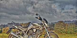 El Tipi Sebze Doğrayıcılar Sebzeleri Kesmede Etkili mi? El Tipi Sebze Doğrayıcılar Sebzeleri Kesmede Etkili mi?