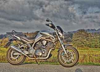 El Tipi Sebze Doğrayıcılar Sebzeleri Kesmede Etkili mi? El Tipi Sebze Doğrayıcılar Sebzeleri Kesmede Etkili mi?