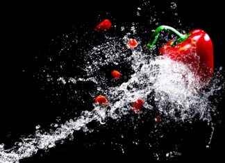 En İyi Sebze Doğrayıcılar: Yoğun Aşçılar için Hızlı ve Verimli Araçlar En İyi Sebze Doğrayıcılar: Yoğun Aşçılar için Hızlı ve Verimli Araçlar