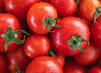 En İyi Sebze Doğrayıcılar: Büyük Miktarlarda Sebzeler İçin En İyi Sebze Doğrayıcılar: Büyük Miktarlarda Sebzeler İçin