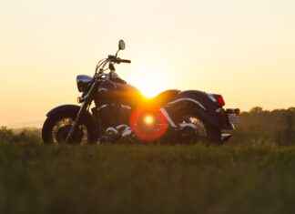 En İyi Sebze Doğrayıcılar: Sağlıklı Çorbalar ve Güveçler İçin En İyi Sebze Doğrayıcılar: Sağlıklı Çorbalar ve Güveçler İçin