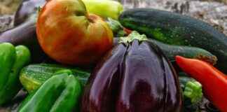 En İyi Sebze Doğrayıcılar: Yoğun Hayat Tarzına Sahip İnsanlar İçin En İyi Sebze Doğrayıcılar: Yoğun Hayat Tarzına Sahip İnsanlar İçin