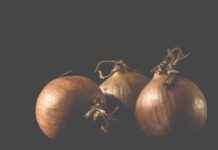 En İyi Sebze Doğrayıcılar: Vejeteryanlar ve Veganlar için En İyi Sebze Doğrayıcılar: Vejeteryanlar ve Veganlar için